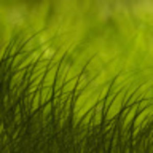 Meet your Posher, Taryn